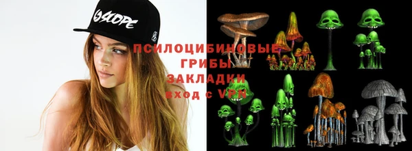 гашиш Богданович