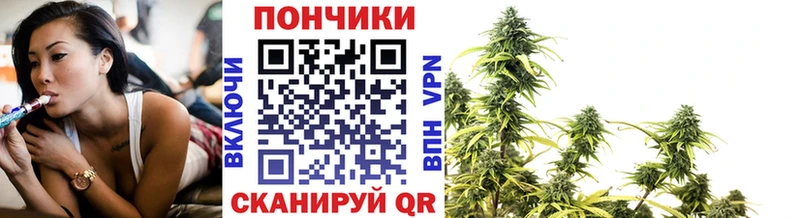Шишки марихуана семена Торопец